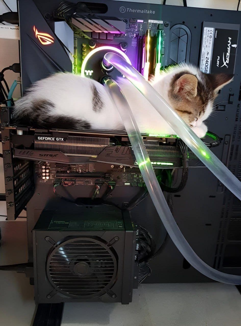 A kitten sleeping inside a computer