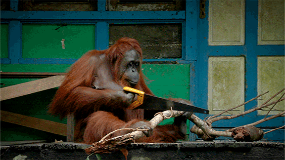 /under-construction/saw-monkey-working.gif